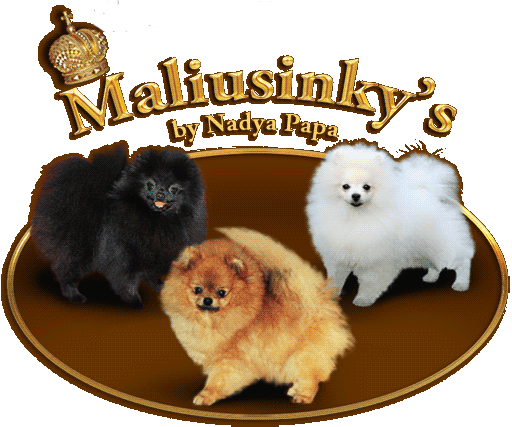 Maliusinky Logo